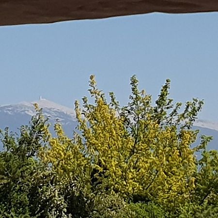 Pura Vida Otel Mazan Dış mekan fotoğraf
